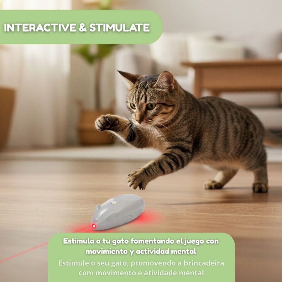 Tootoy! Rat&oacute;n L&aacute;ser Interactivo para gatos, , large Imagen numero 6